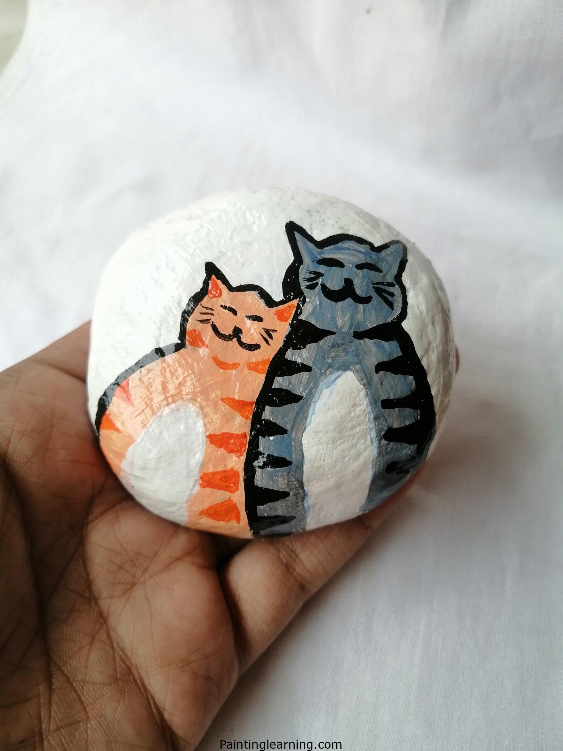 Cat Rocks
