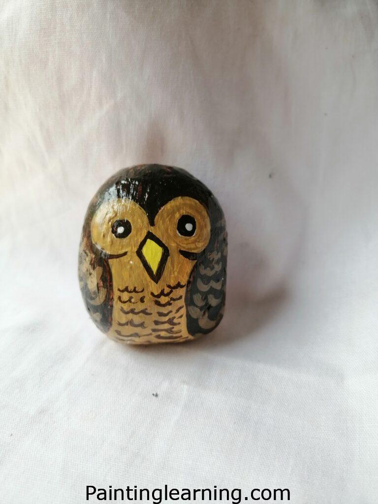 Owl Rocks