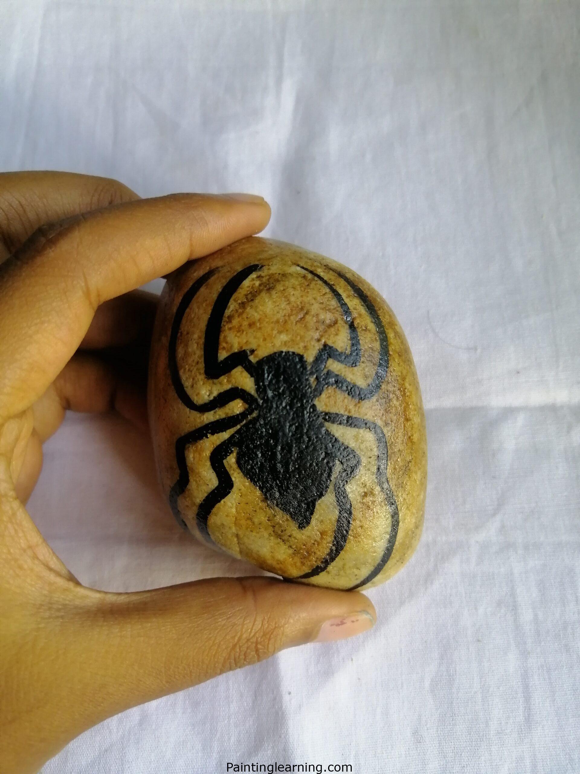 Spider Painted Rocks